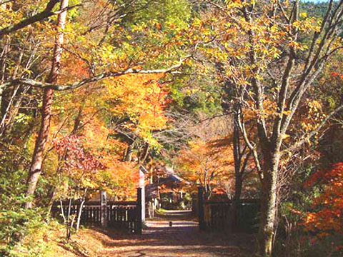 紅葉の峰定寺 門のところ
